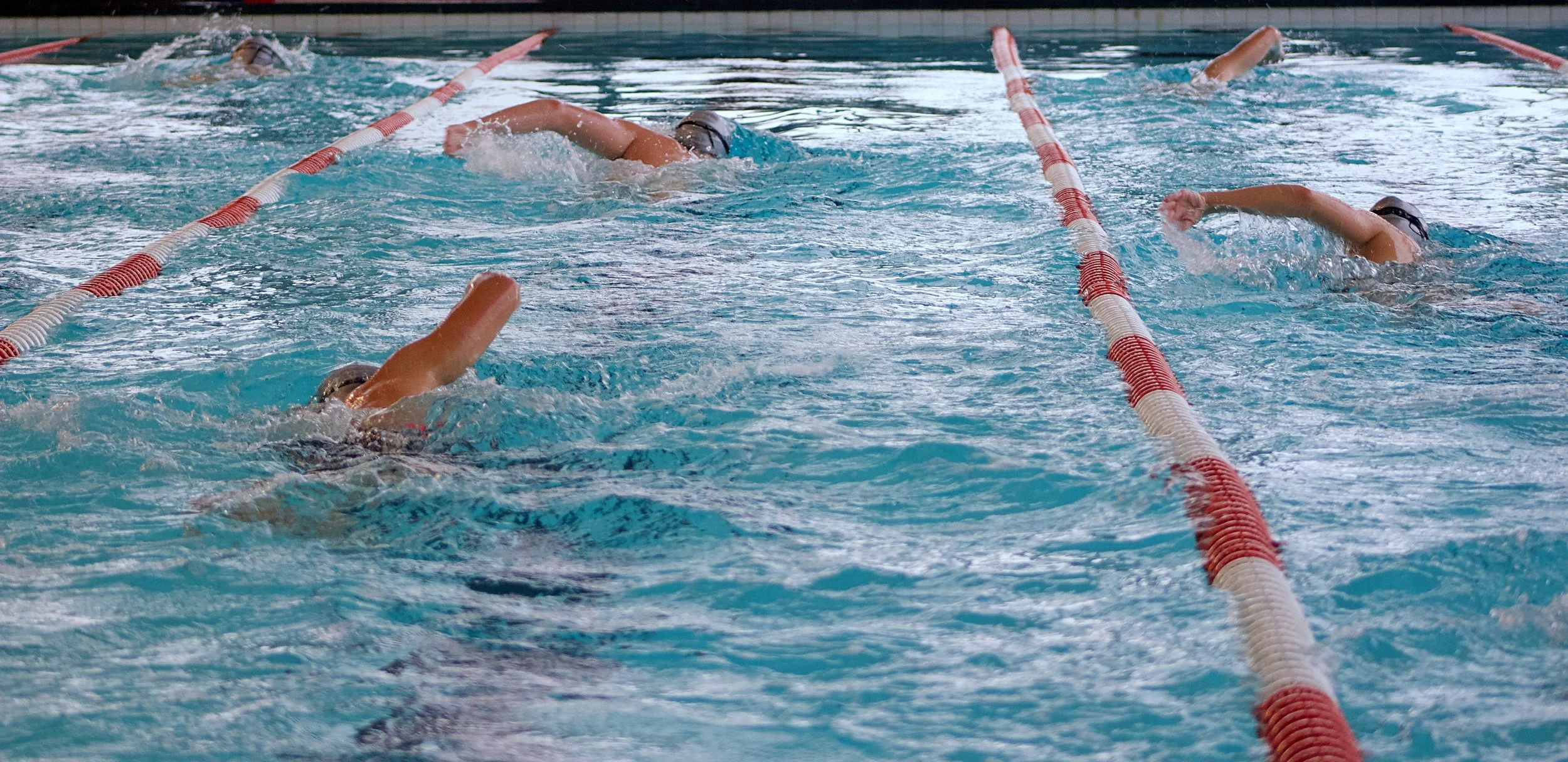 Social swimming group enjoying the pool